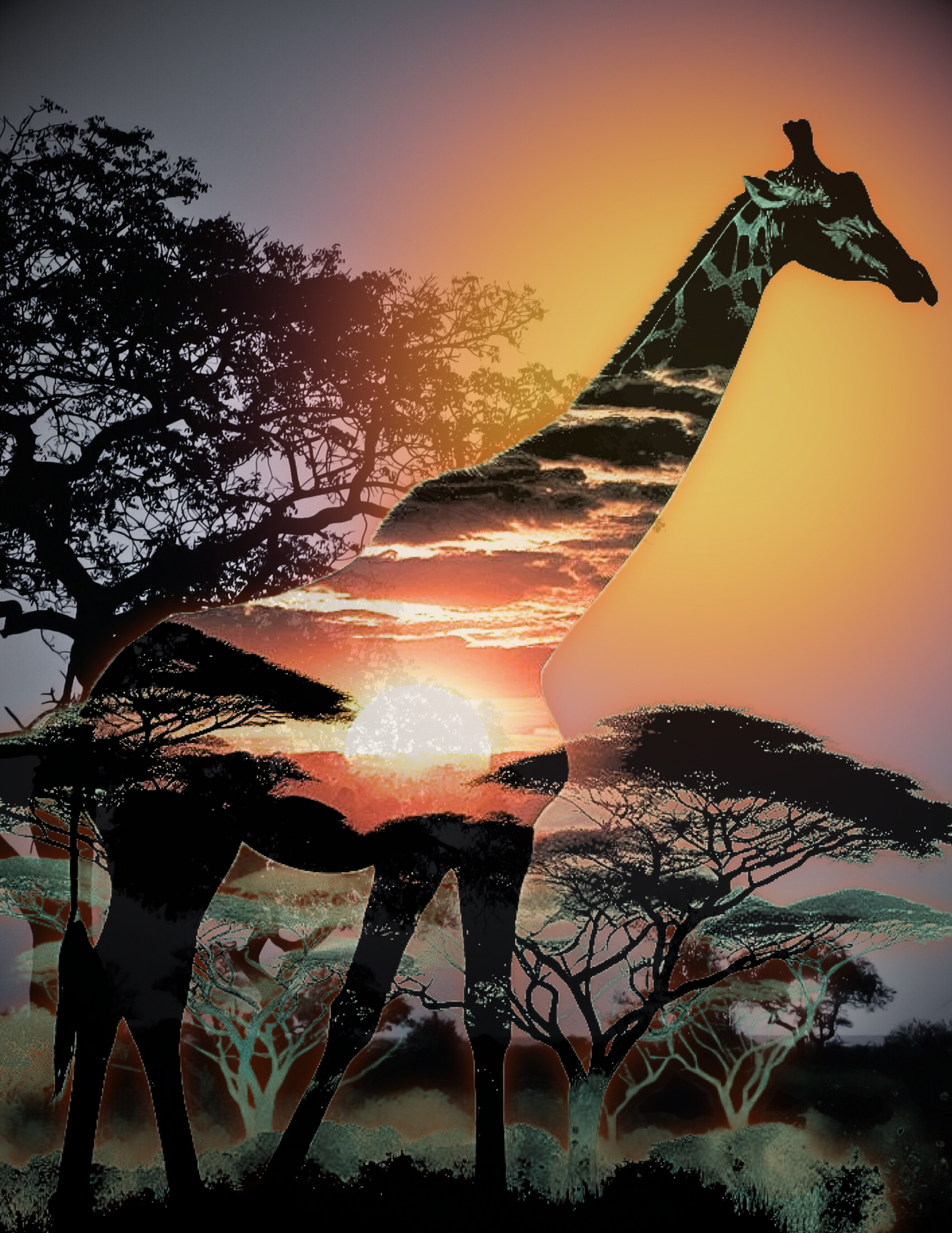 Wild Reflections: Grace in the Wild