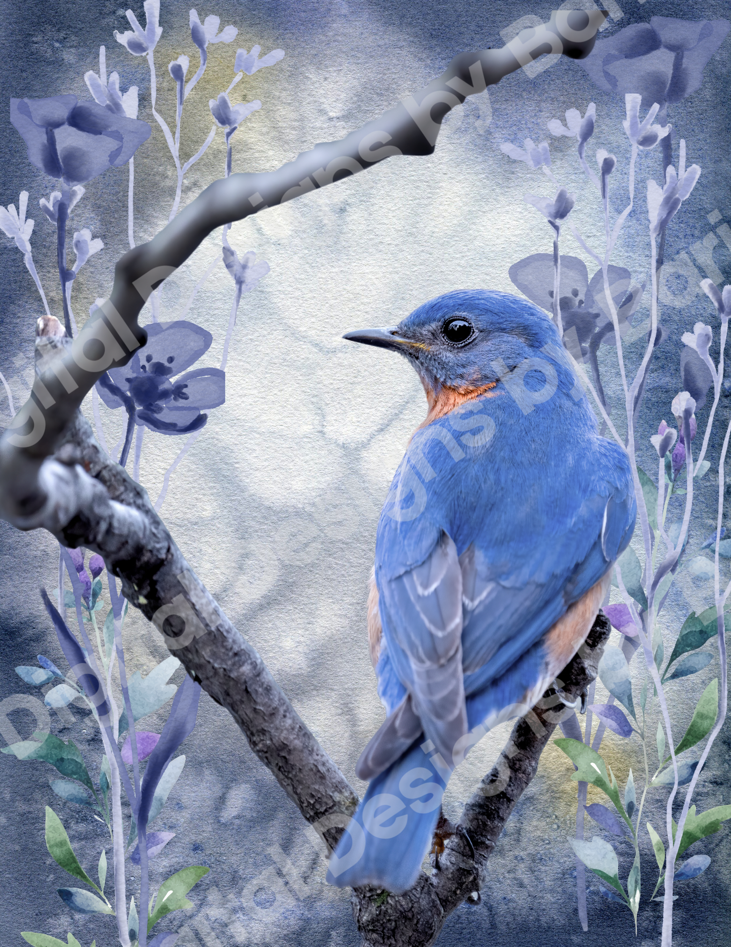 Beautiful Bluebird