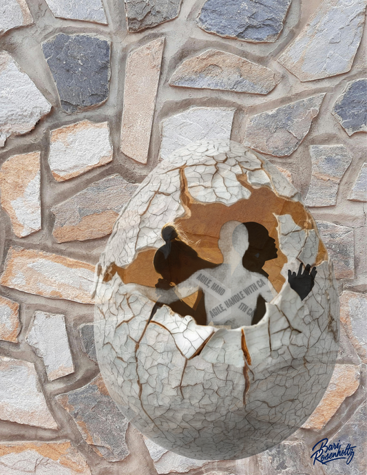 Protective Shell
